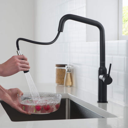 Tampa Single Handle Pull Down Kitchen Sink Faucet