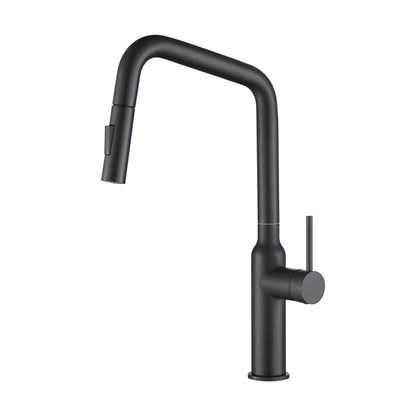 Tampa Single Handle Pull Down Kitchen Sink Faucet