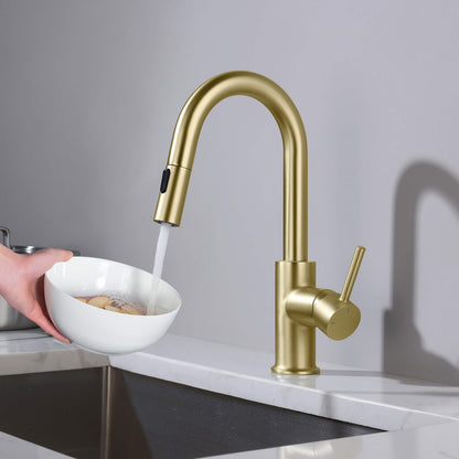 Halo Single Handle Pull Down Kitchen & Bar Sink Faucet