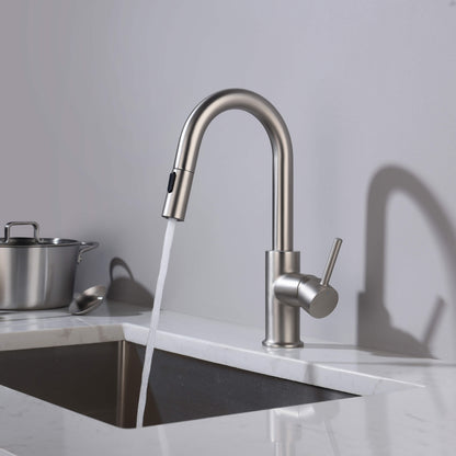 Halo Single Handle Pull Down Kitchen & Bar Sink Faucet
