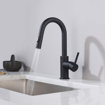Halo Single Handle Pull Down Kitchen & Bar Sink Faucet