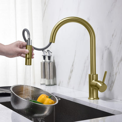 Halo Single Handle Pull Down Kitchen Faucet