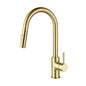 Halo Single Handle Pull Down Kitchen Faucet