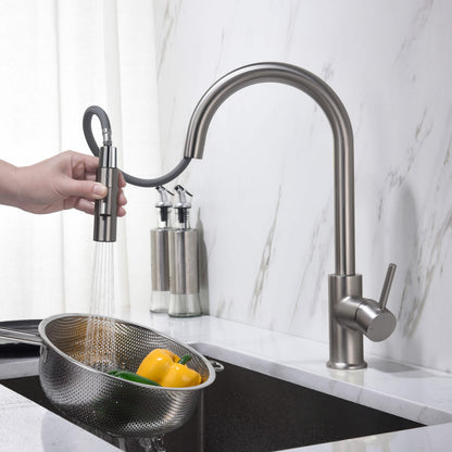Halo Single Handle Pull Down Kitchen Faucet