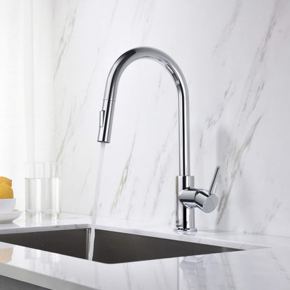 Halo Single Handle Pull Down Kitchen Faucet