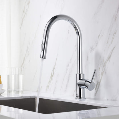 Halo Single Handle Pull Down Kitchen Faucet