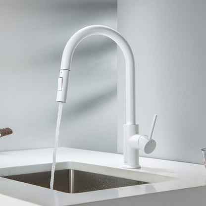 Halo Single Handle Pull Down Kitchen Faucet
