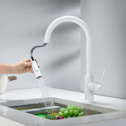Halo Single Handle Pull Down Kitchen Faucet