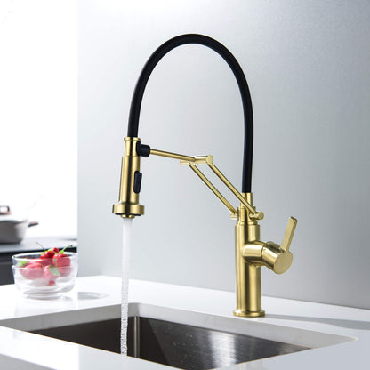 Vista Single Handle Pull Down Kitchen Faucet