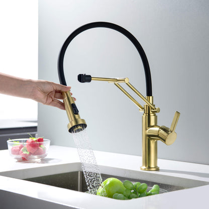 Vista Single Handle Pull Down Kitchen Faucet