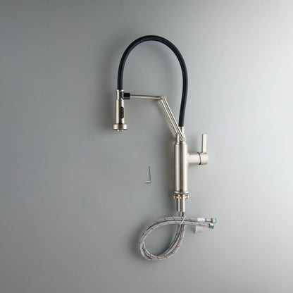Vista Single Handle Pull Down Kitchen Faucet