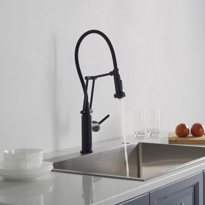 Vista Single Handle Pull Down Kitchen Faucet