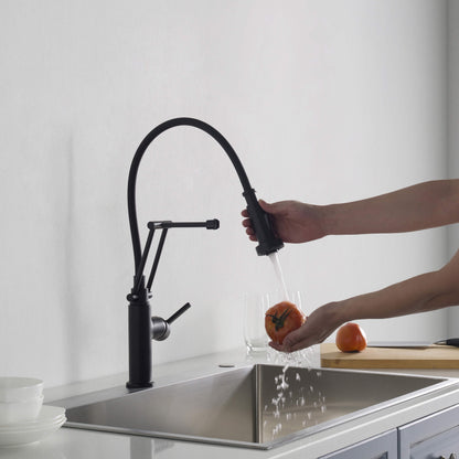 Vista Single Handle Pull Down Kitchen Faucet