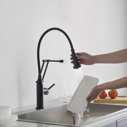 Vista Single Handle Pull Down Kitchen Faucet