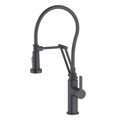 Vista Single Handle Pull Down Kitchen Faucet