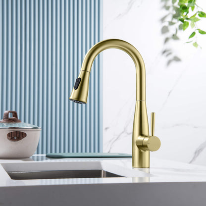 Plano Single Handle Pull Down Kitchen Sink Faucet