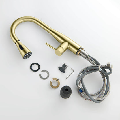Plano Single Handle Pull Down Kitchen Sink Faucet