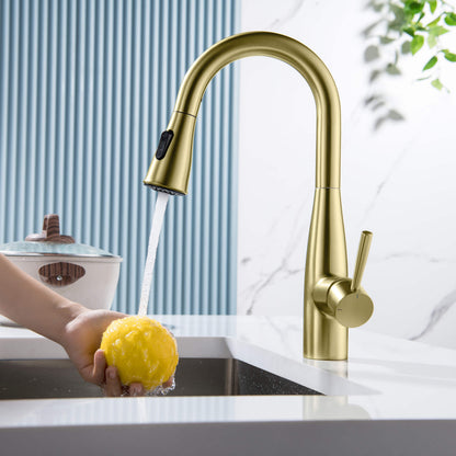 Plano Single Handle Pull Down Kitchen Sink Faucet