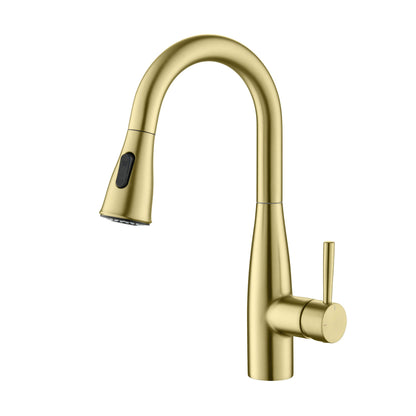 Plano Single Handle Pull Down Kitchen Sink Faucet