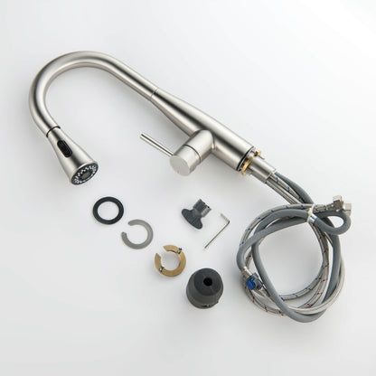 Plano Single Handle Pull Down Kitchen Sink Faucet
