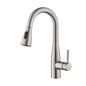 Plano Single Handle Pull Down Kitchen Sink Faucet