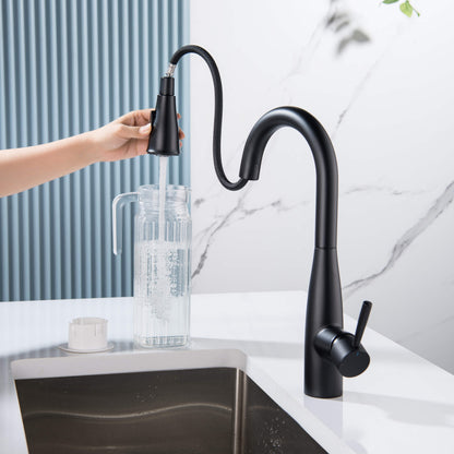 Plano Single Handle Pull Down Kitchen Sink Faucet