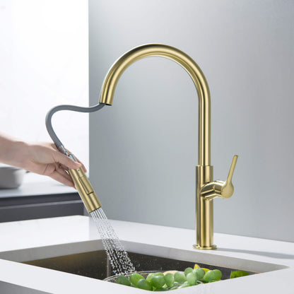 Neo Single Handle Pull Down Kitchen Sink Faucet