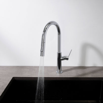 Neo Single Handle Pull Down Kitchen Sink Faucet