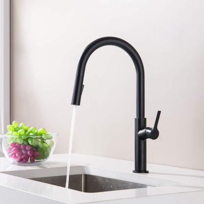 Neo Single Handle Pull Down Kitchen Sink Faucet