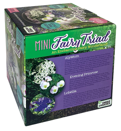 Fairy Triad Glass Terrarium Seed Starting Kit