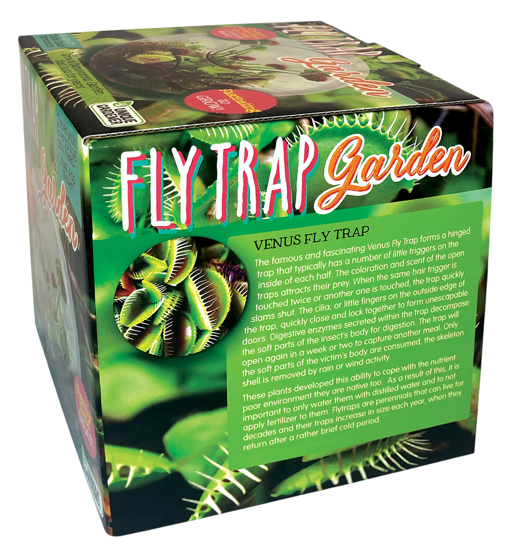 Flytrap Garden Glass Terrarium Seed Starting Kit
