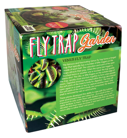 Flytrap Garden Glass Terrarium Seed Starting Kit