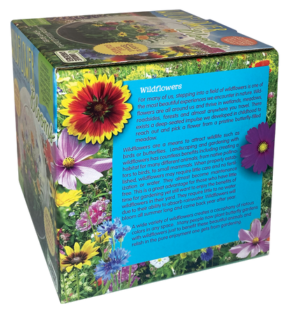 Wildflower Blooms Glass Terrarium Seed Starting Kit