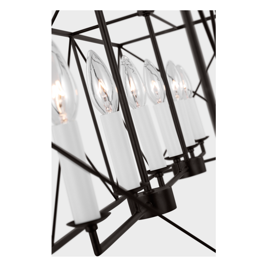 Beatrix Large Linear
