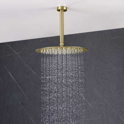 Halo Pressure Balanced 3-Function Ceiling Mount Shower System with Rough-In Valve