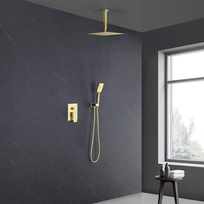 Quadra Pressure Balanced 2-Function Ceiling Mount Shower System with Rough-In Valve