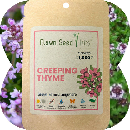 Creeping Thyme Seed Pouch