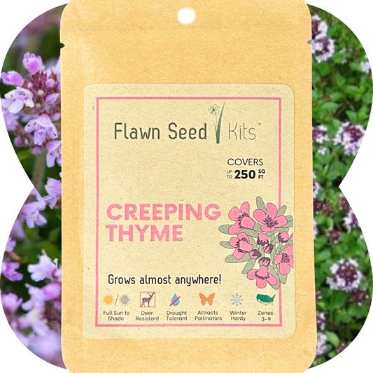 Creeping Thyme Seed Pouch