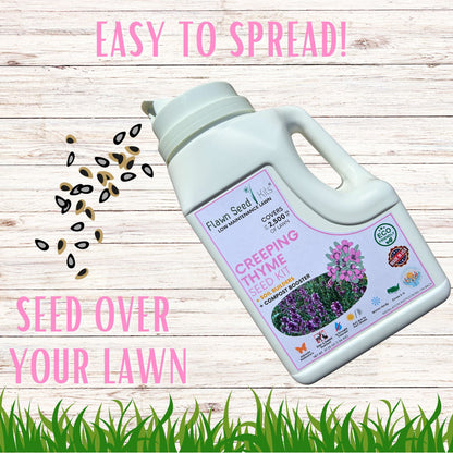 Creeping Thyme Easy Spread Shaker