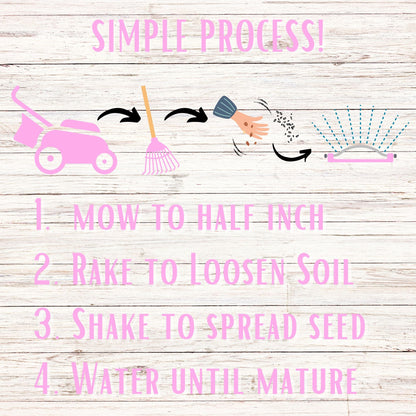 Creeping Thyme Seed Pouch