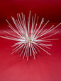 Caledonia Deep Water Urchin with Spines 6" – Coelopleurus maculatus