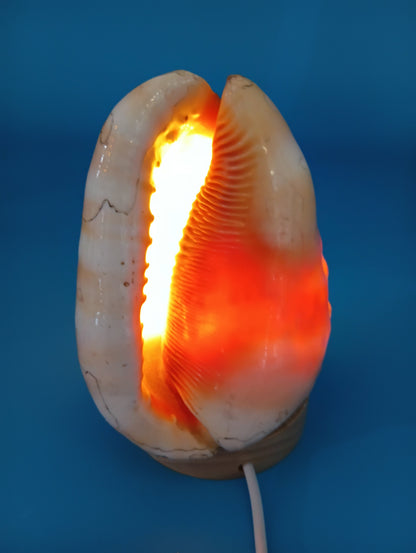 4" Carved Cameo Décor Light with 57" USB Cord & On/Off Switch