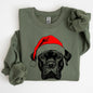 Cane Corso, Santa, Dog, Christmas, Dog Lover, Pet Sweatshirt