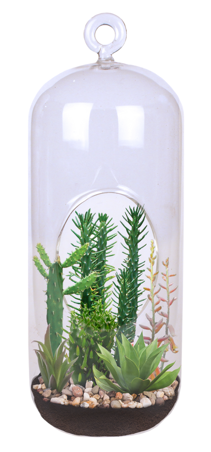 Superb Succulents Glass Terrarium Seed Starting Kit