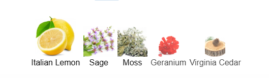 Set of five icons representing different scents: Italian Lemon, Sage, Moss, Geranium, and Virginia Cedar.