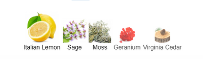 Set of five icons representing different scents: Italian Lemon, Sage, Moss, Geranium, and Virginia Cedar.