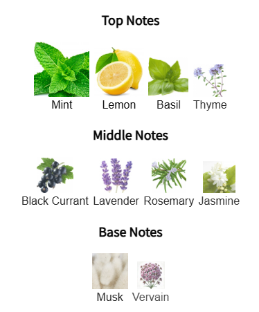 Chart of top, middle, and base notes with corresponding images and names on a white background.