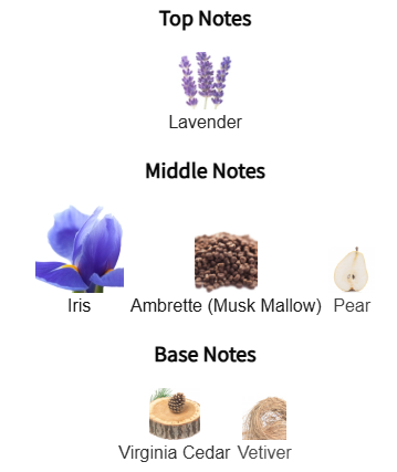 Chart of top, middle, and base notes with corresponding botanical images on a white background.