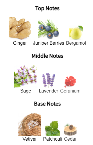 Chart of top, middle, and base notes with corresponding images and names on a white background.