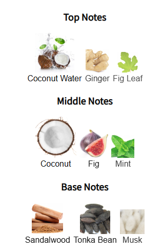 Chart of top, middle, and base notes with corresponding icons on a white background
